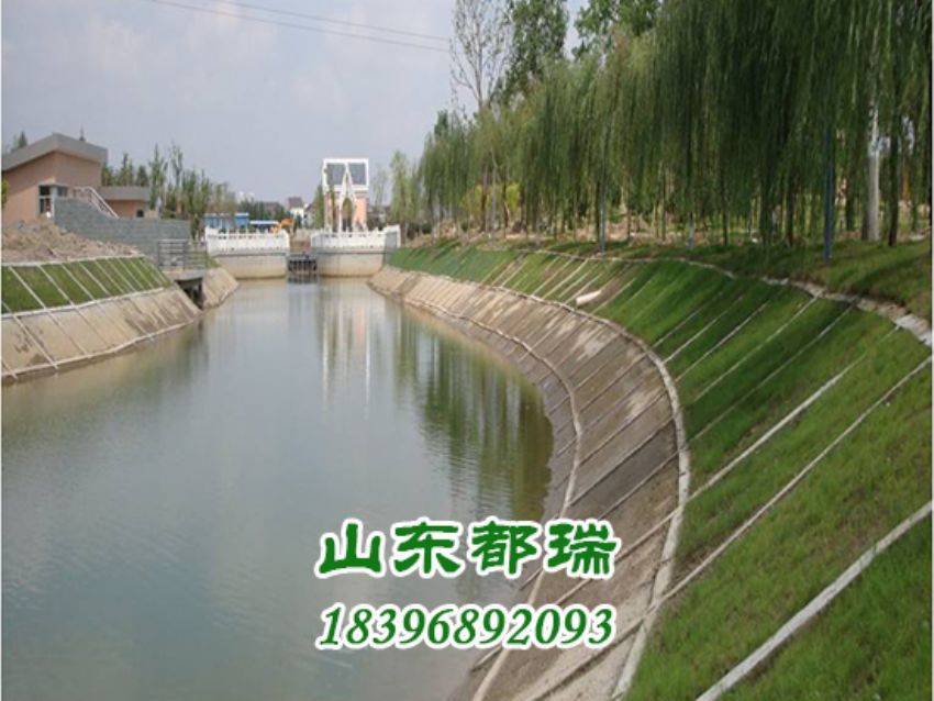 河道植草生態護坡