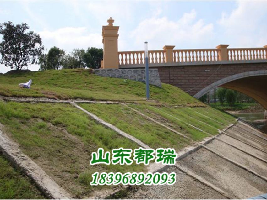 河道植草生態護坡