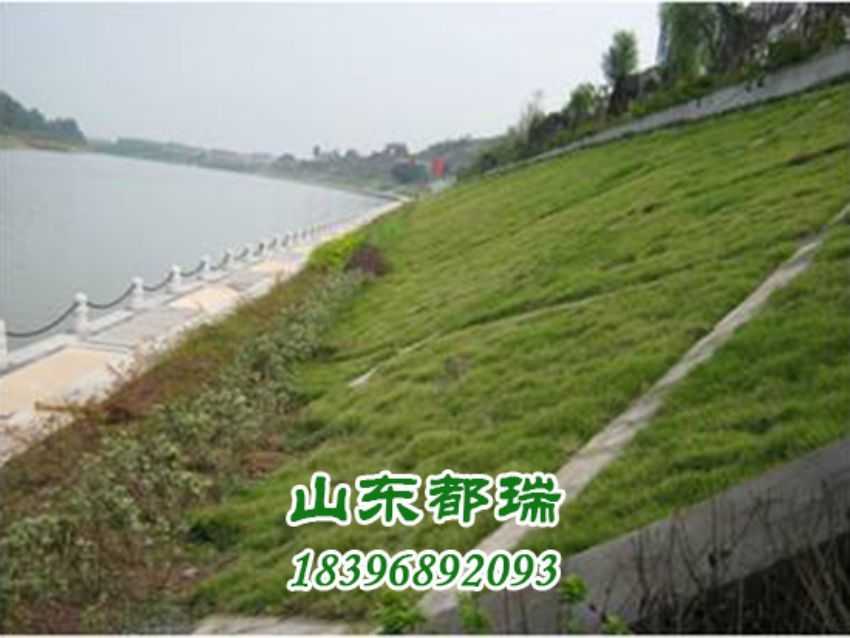 河道植草生態護坡